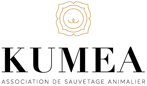 Kumea_logo_definition_noir