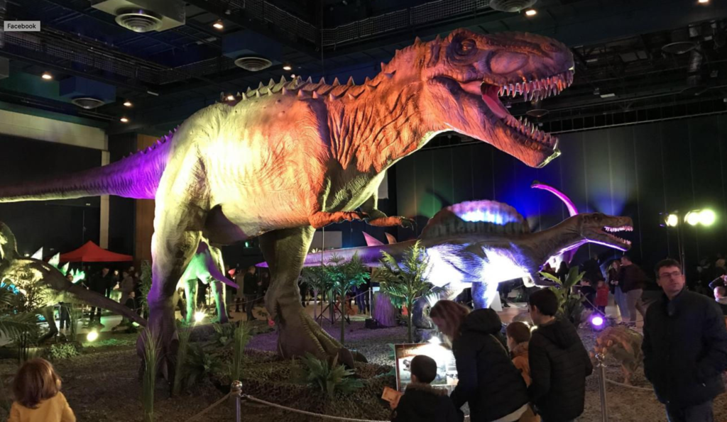 dino-experience